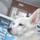 보경동물병원 이미지