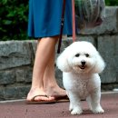 그린마켓 이미지