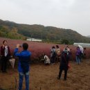 광준농장 이미지