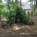 계룡초교병설유치원 이미지