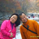 사랑밥상 이미지