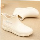 태풍소프트 이미지