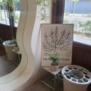 백장미사 이미지