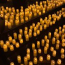 (주)101캔들라이트 | 수원 노보텔 캔들라이트 공연 | LED 촛불 속 히사이시조 공연 후기 감동 그 이상!