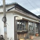 화수산업 | 아기랑 제주고로 내돈내산 후기｜대정읍 웨이팅 덮밥 맛집