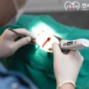 연세준치과의원 이미지