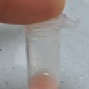 Dr. 오즈 동물병원 이미지