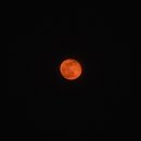 레드문(Red Moon) 이미지