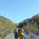 김기수 농장 이미지