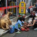 누렁소식육점 이미지