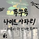일동건기 | 푸꾸옥 빈펄 사파리 나이트 투어 : 가격, 예약방법, 투어 시간, 북부 놀거리 여행일정 (내돈내산 후기)