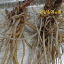 양희농장 이미지