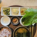콩두 점점