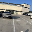 오늘도 아름답개 | [개들랜드] 더아름답개 애견미용실 조구름부원장님 콧바람 쐬어주기 :)