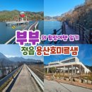 용산호호 | 카페 뷰에 놀라고, 호수에 반한 곳… 정읍 용산호 산책 후기