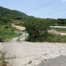 기룡농장 이미지