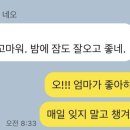 베트남 침향