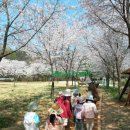 민들레어린이집 이미지