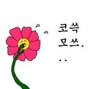 [부산 코스요리 맛집/센텀맛집]내돈내산 르꽁비브 런치 후기