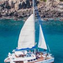 제주풀북 이미지