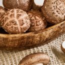 버섯생농장 이미지