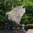 자연그리 이미지