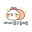 메종드바바