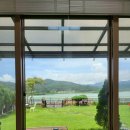 스테이포브 이미지