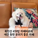 북한산 419탑 카페비르케, 애견 동반 가능한 분위기 좋은 카페