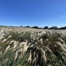 수망관광휴양펜션 이미지