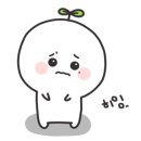 토다의정원