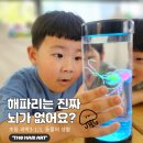 제주영락유치원 이미지