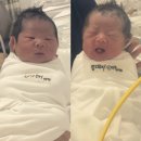 우리집 | 출산 후기 | 우리집 막내 태리가 태어났어요 🫧⠂˖❥࿐