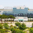 강동참가자미 이미지