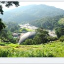 미숭산자연휴양림 이미지