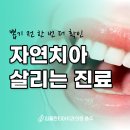 임플란티아치과의원 충주점 네이버블로그