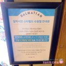 달마시안 | 수원 스타필드 애견동반식당 달마시안 솔직후기 🐶🍝비싼데 가볼만함