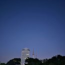 위드라잇 네이버블로그