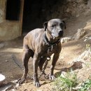 김현기농장 이미지