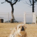 쉼표고성2 이미지