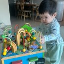 노벨랜드 - 용인시 기흥구 덕영대로 1804 | 7개월 아기 원목 장난감 노벨랜드 busy zoo(비지쥬) 내돈내산 후기