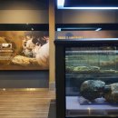 한국자연사박물관 이미지