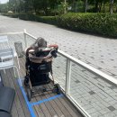 [송도 동물병원] 호랑이동물병원에서 반려견 건강검진 받고 온 솔직 후기!