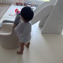 과일깎는남자 | 대구 신세계백화점 흑피 수박 커팅 서비스 이용 후기
