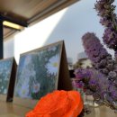 해안야생화체험장 이미지