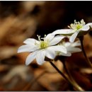 표충사주차장 이미지