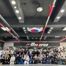 팀루츠 이미지