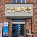 로자벨호텔 | 천안 성성동 피부관리 이야 에스테틱 모공 청소 후기
