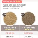 토핑플러스 이미지