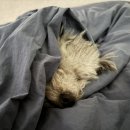 고양대로675번길 이미지